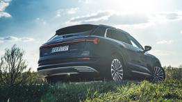 Audi e-tron. Czy tak wygląda przyszłość?