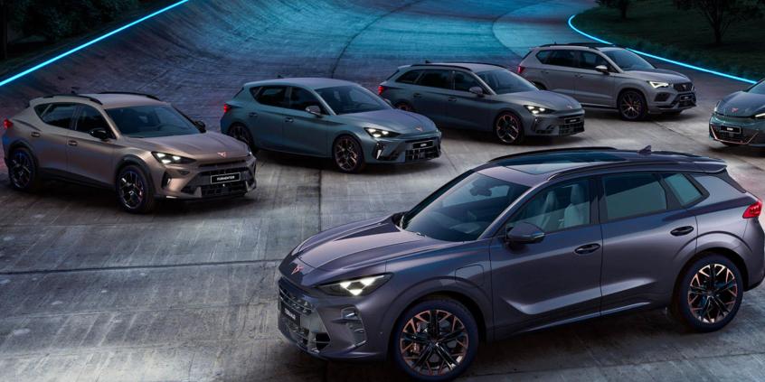 Skargi na Cuprę rosną. Usterki i opieszałość serwisu w całej Polsce