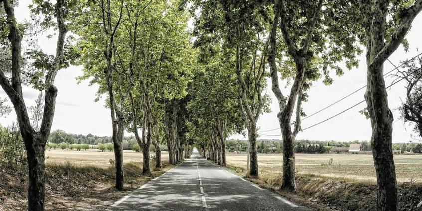 Jedziesz do Francji? Uważaj na nowe limity prędkości