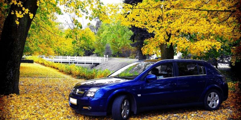 Opel Signum  Hatchback - galeria społeczności