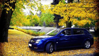 Opel Signum  Hatchback - galeria społeczności