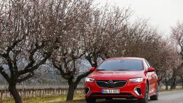 Opel Insignia GSi - widok z przodu