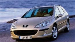 Peugeot 407 SW - widok z przodu