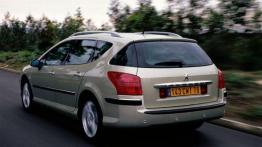 Peugeot 407 SW - widok z tyłu