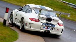 Porsche 911 GT3 CUP - widok z tyłu