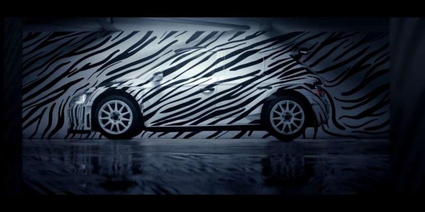 Nowa Skoda Fabia R 5 po raz pierwszy w paski!