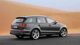 Audi Q8 powalczy m.in. z BMW X6 i Mercedesem GLE Coupe