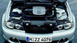 BMW Seria 3 Coupe - silnik