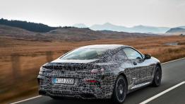 Walijskie testy BMW M850i xDrive Coupe