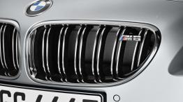 BMW M6 Gran Coupe - grill