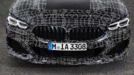 Walijskie testy BMW M850i xDrive Coupe