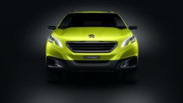 Peugeot 2008 Concept - widok z przodu
