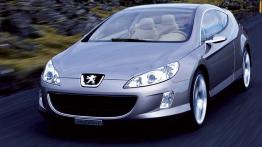 Peugeot 407 Elixir Concept - widok z przodu