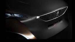 Peugeot Onyx Concept - grill