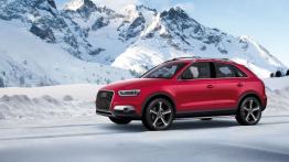 Audi Q3 Vail Concept - lewy bok