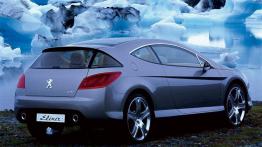 Peugeot 407 Elixir Concept - bok - inne ujęcie