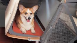 Honda WOW Concept - widok ogólny wnętrza