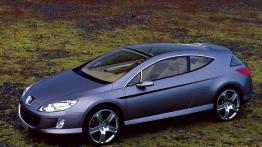 Peugeot 407 Elixir Concept - lewy bok