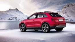 Audi Q3 Vail Concept - lewy bok