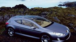 Peugeot 407 Elixir Concept - prawy bok