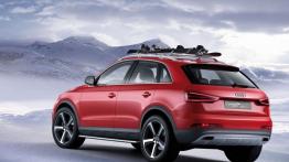 Audi Q3 Vail Concept - lewy bok