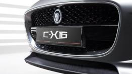 Jaguar C-X16 Concept - grill