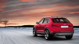 Audi Q3 Vail Concept - widok z tyłu