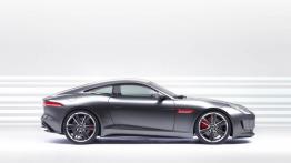 Jaguar C-X16 Concept - prawy bok