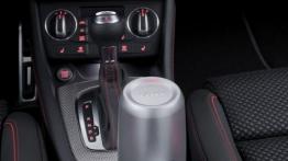 Audi Q3 Vail Concept - konsola środkowa
