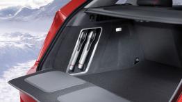 Audi Q3 Vail Concept - bagażnik, akcesoria