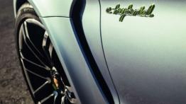 Porsche Panamera Sport Turismo Concept - emblemat boczny