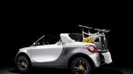 Smart for-us Concept - lewy bok