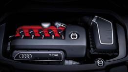 Audi Q3 Vail Concept - silnik