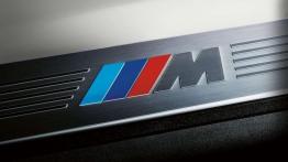 BMW Z4 sDrive 20i GT - nie dla Europy