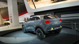 Frankfurt Motor Show 2013 - prototypy