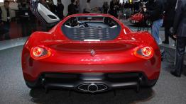 Geneva Motor Show 2013 - prototypy