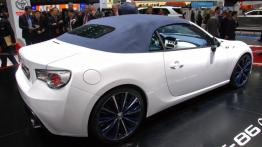 Geneva Motor Show 2013 - prototypy