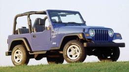 Jeep Wrangler - widok z przodu