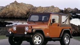 Jeep Wrangler - widok z przodu