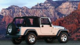 Jeep Wrangler - widok z tyłu
