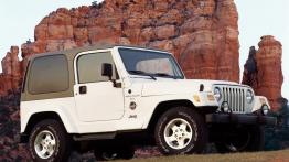 Jeep Wrangler - widok z przodu