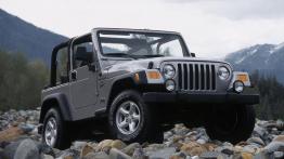 Jeep Wrangler - widok z przodu