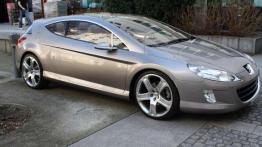 Na tropie Peugeot 407 Elixir