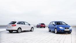 Seat Ibiza IV SportTourer