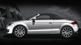 Audi TT 8J Roadster