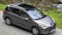 Peugeot 207 Outdoor - góra - inne ujęcie