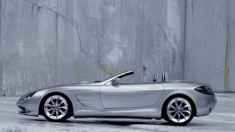 Mercedes Vision SLR - lewy bok