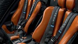 Pagani Huayra BC Roadster - fotel kierowcy, widok z przodu