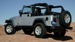 Jeep Wrangler - widok z tyłu