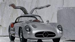 Mercedes 300 SLR - widok z przodu